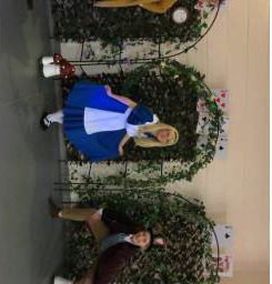 Beyond Wonderland