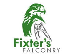 Dean Fixter logo