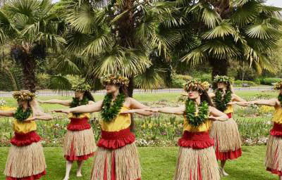 Star Dancers UK Polynesian Dancers - Hawaiian Hula