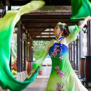 Star Dancers UK Oriental Fanveil