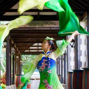 Star Dancers UK Oriental Fanveil