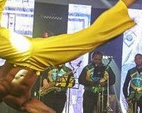 Capoeira Show 