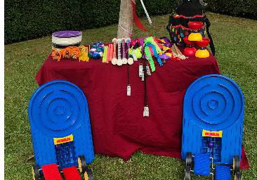 Circus workshops 