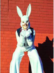 white rabbit photos (2)