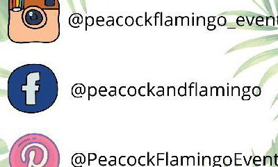 Peacock & Flamingo Events