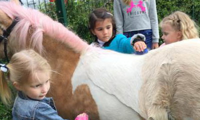 Pony Parties 2 U