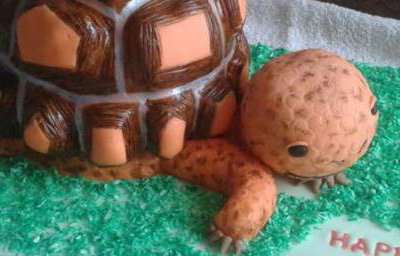 Tortoise