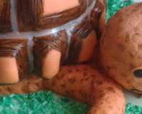 Tortoise
