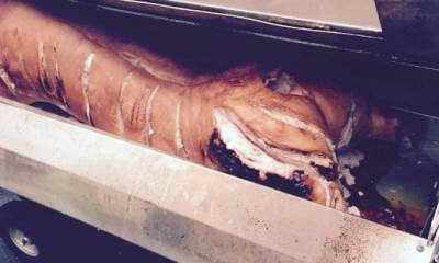 Pig Me Up