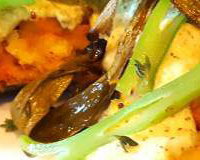 Zuccini boat