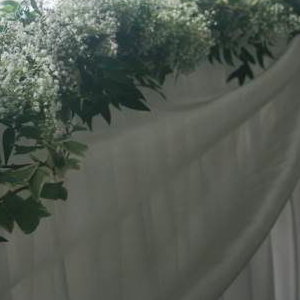 Gypsophila Garland