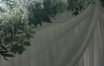 Gypsophila Garland