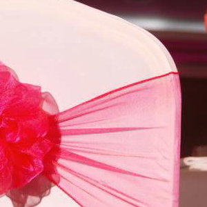 Chair Covers and Organza Sash