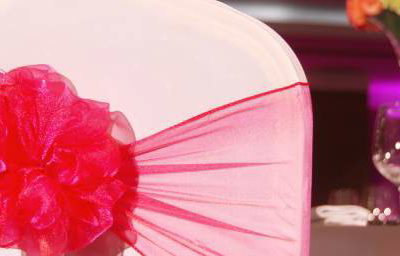 Chair Covers and Organza Sash