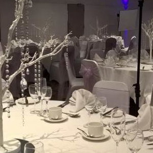 White Manzanita Style Crystal Trees