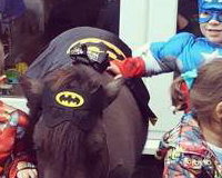 Super Hero Party