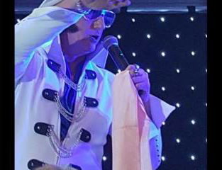 ELVIS in CONCERT by ANDY JAMES