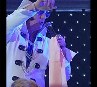 ELVIS in CONCERT by ANDY JAMES