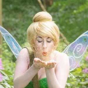 Tinker Fairy