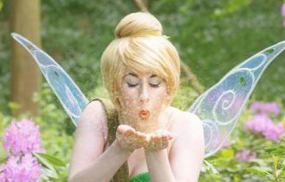 Tinker Fairy