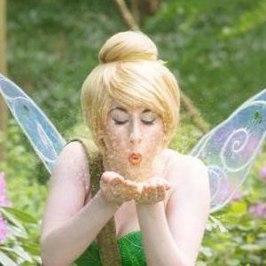 Tinker Fairy
