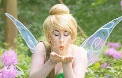 Tinker Fairy