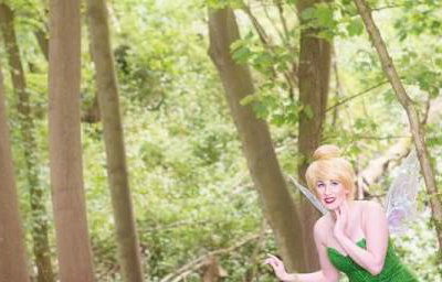 Tinker Fairy