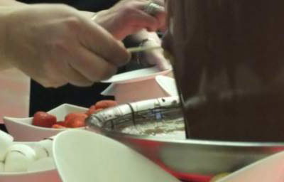 Large Chocolate Fountain Dips 2