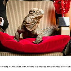 Our_BAFTA_Iguana__2017_BAFTA_AWARDS