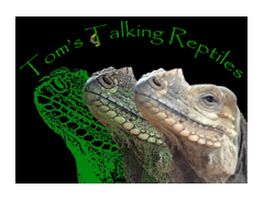 Tom's Talking Reptiles logo