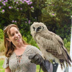 Handle Birds of Prey