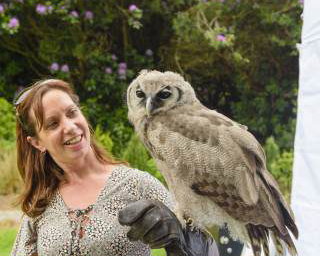 Handle Birds of Prey