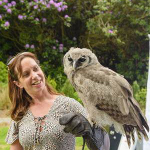 Handle Birds of Prey