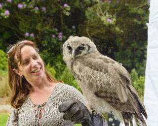 Handle Birds of Prey