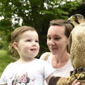 Handle Birds of Prey