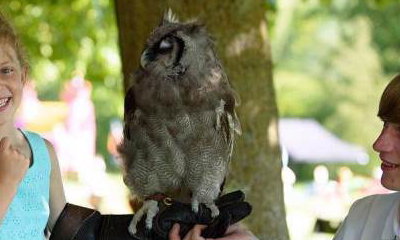 UK Owl and Raptor Centre