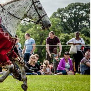 Flavours of Fingal Country Show Dublin Ireland - The Cavalry of Heroes Medieval Jousting Horse Stunt Show - Golden Knight Marc Lovatt Vault Trick Riding Sequence 2