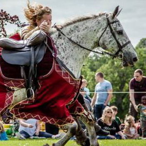 Flavours of Fingal Country Show Dublin Ireland - The Cavalry of Heroes Medieval Jousting Horse Stunt Show - Golden Knight Marc Lovatt Vault Trick Riding Sequence 2