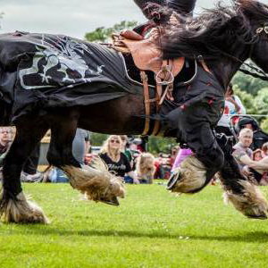 Flavours of Fingal Country Show Dublin Ireland - The Cavalry of Heroes Medieval Jousting Horse Stunt Show - Dark Knight Headstand Scissors Trick Riding Sequence 2