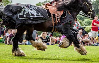 Flavours of Fingal Country Show Dublin Ireland - The Cavalry of Heroes Medieval Jousting Horse Stunt Show - Dark Knight Headstand Scissors Trick Riding Sequence 2