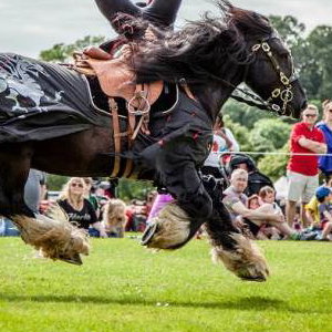 Flavours of Fingal Country Show Dublin Ireland - The Cavalry of Heroes Medieval Jousting Horse Stunt Show - Dark Knight Headstand Scissors Trick Riding Sequence 2