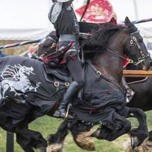 001 Cavalry of Heroes Medieval Jousting Knights on Horseback at Usk Show Monmouth Larry Weaver Photos