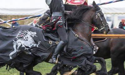 The Cavalry of Heroes
