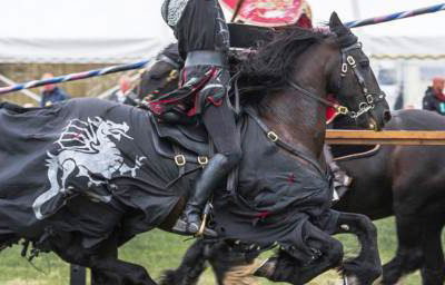 001 Cavalry of Heroes Medieval Jousting Knights on Horseback at Usk Show Monmouth Larry Weaver Photos