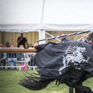 001 Cavalry of Heroes Medieval Jousting Knights on Horseback at Usk Show Monmouth Larry Weaver Photos