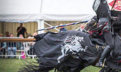 The Cavalry of Heroes