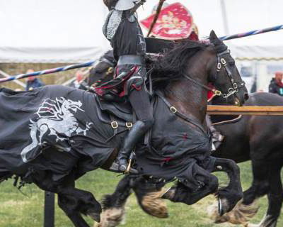 001 Cavalry of Heroes Medieval Jousting Knights on Horseback at Usk Show Monmouth Larry Weaver Photos