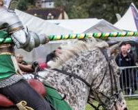 012 Cavalry of Heroes Medieval Jousting Knights on Horseback at Usk Show Monmouth Larry Weaver Photos