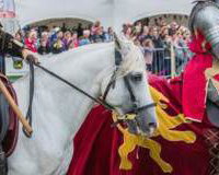 043 Cavalry of Heroes Medieval Jousting Knights on Horseback at Usk Show Monmouth Larry Weaver Photos