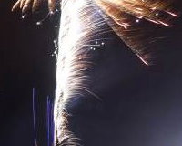 Plough New Year Eve 2016-1-4